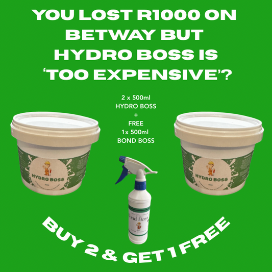 HydroBoss™ – Waterproofing Sealing Agent (2 FOR 1 )