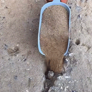 Bond Boss™ Wall Protection Spray 5L (Back To Work Special)